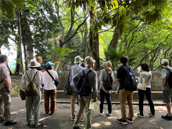自然観察会の様子