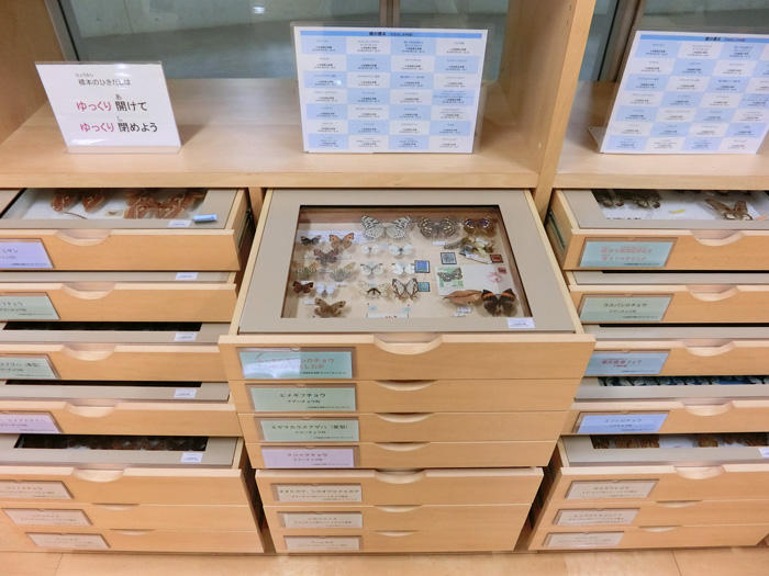 横浜初等部図書館1