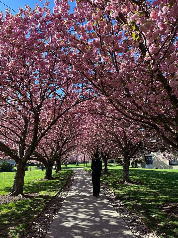 ニューヨーク学院2