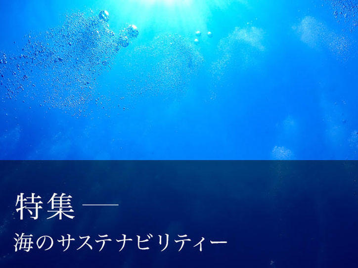 海の豊かさを後世に残すために